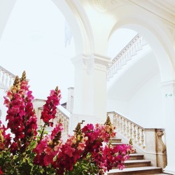 foreverchampagneiglikes:  Grand staircases and marble floors… Shooting at the dreamiest location today with @karen_millen by wethepeoplestyle http://ift.tt/1RnApfb