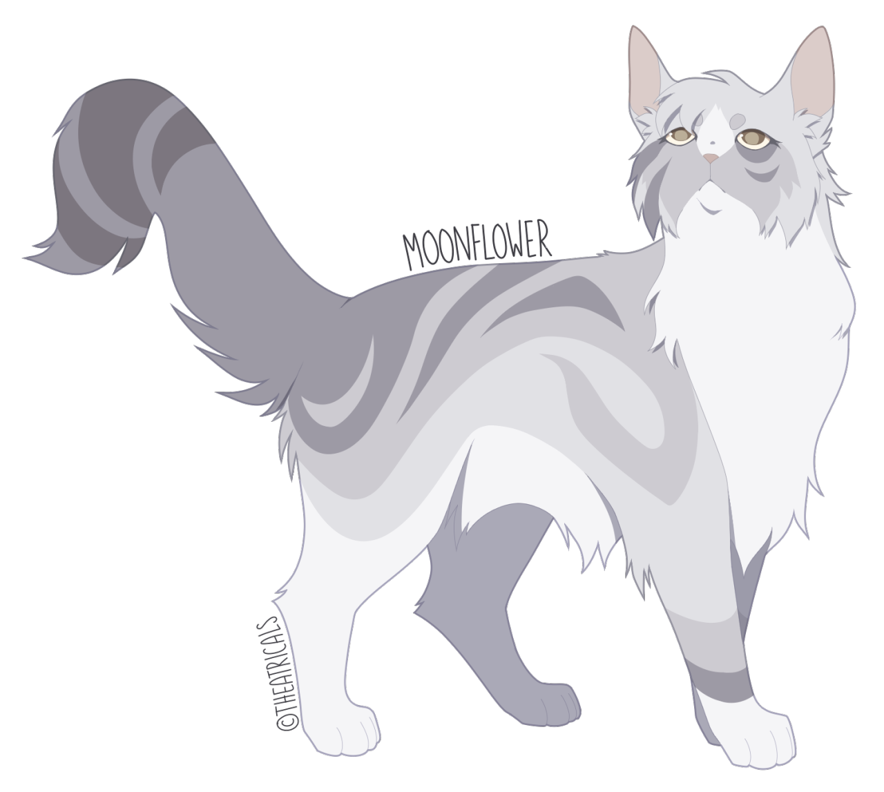 Character design of a warrior cat