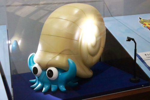 Images From The Pokemon Fossil Exhibit.