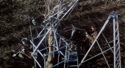 Charisma (Kurosawa Kiyoshi, 1999)Rationales and designs tearing at each other.  At his most mad