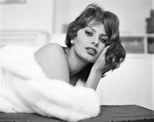 tugaskesask:gatabella: Sophia Loren by Tony Vaccaro, New York, c.1959 Happy Birthday Sept. 20th