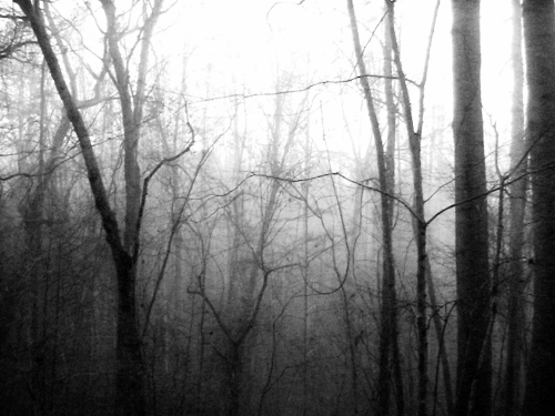 Random Transparent Overlays / Textures.