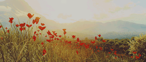 noonvraith:the witcher scenery [6/?] : toussaint