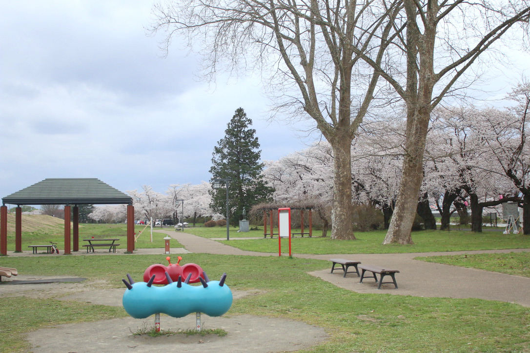 展勝地公園 Explore Tumblr Posts And Blogs Tumgir
