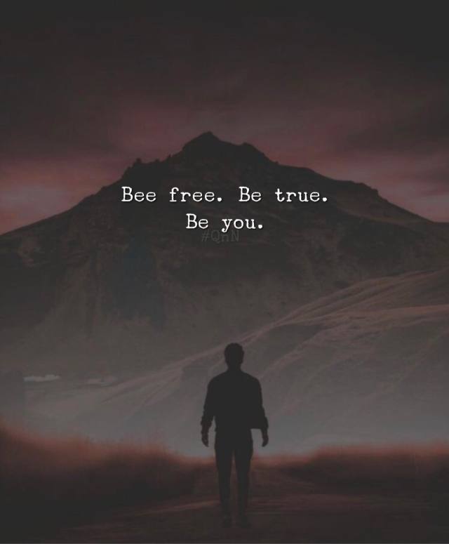 Bee free. Be true. Be you. https://ift.tt/T1POLQe #ThinkPozitive#Positive Quotes#Quotes#Inspirational