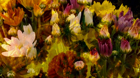 munchmeincookeh:  Flowers - Hannibal S2xE6 &amp; S2xE7 
