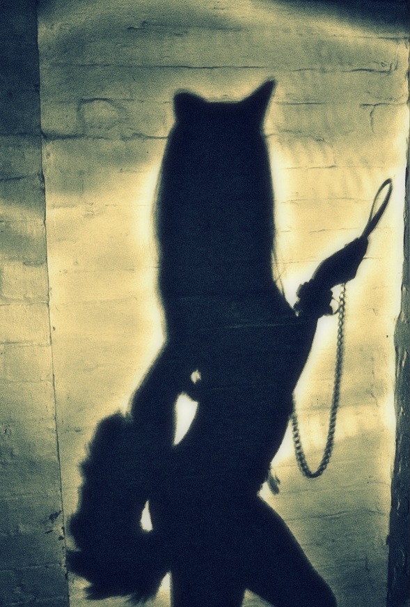 Sensual BDSM
