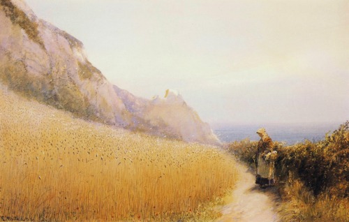 John White - A Cornfield