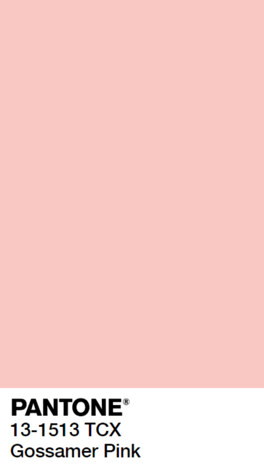 Pink Pantone