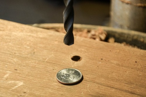 ambientwhispers:  sowhatilied:  f-l-e-u-r-d-e-l-y-s:  Designer Drills Holes into Quarters, Turns Them into Rings  website / facebook Designer Nicholas Heckaman of The Ring Tree meticulously handcrafts detailed rings out of US coins. The Gainesville,