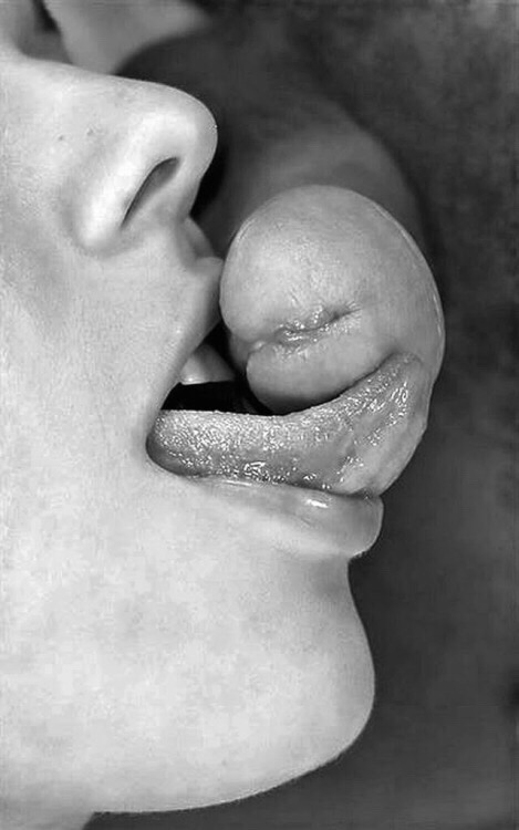 deliciousanddecadence:  learnmylimits:  I’ll start with the tip, but I want the