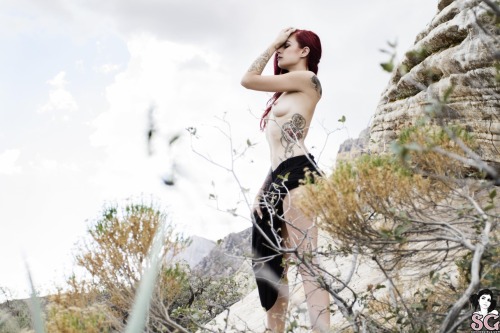beautifulgirlsmakemesuicidal:  Tristyn Suicide 