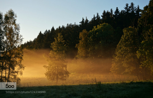 Porn photo chaehbae:  New on 500px : Morning light by Photonatur