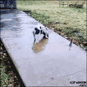 How I feel, trying to make others happy.