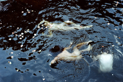 Parker Fitzgerald (Photographer, American, b. Milwaukee, WI, based Portland, OR, USA), and Riley Mes