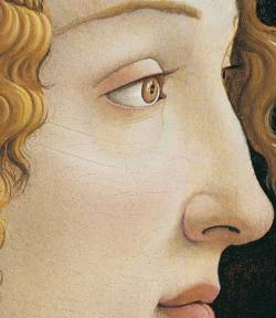 renaissance-art:  Botticelli c. 1480 Portrait of Simonetta Vespucci (detail) 