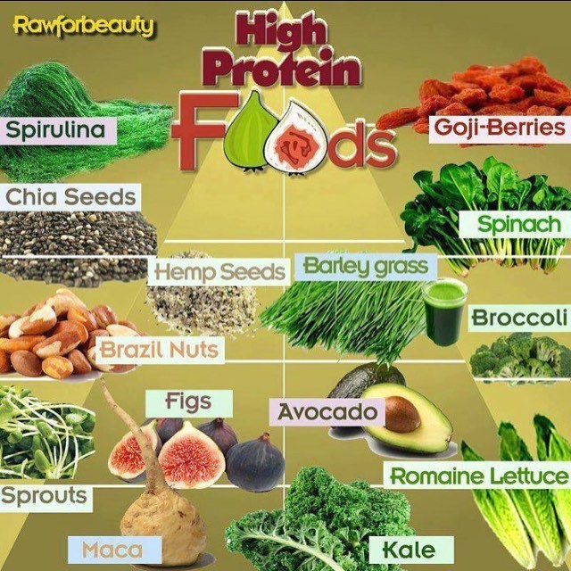 High protein foods.
Good chart for those of us looking to add more protein in our diet regimen.
www.tiredoftheweight.com
Friend or follow Jackie Nelson on social media I’m always posting positive, inspirational, motivational, recipes and more...