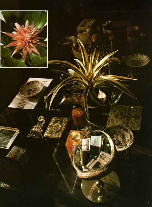 supremeinteriors:  The Complete Book of Houseplants & Indoor Gardening ©1979