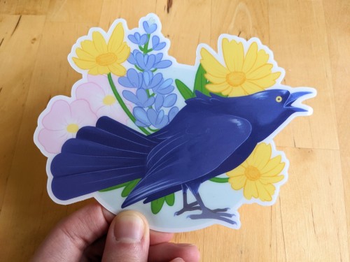 You Can Get Yourself A Texas Bird With Some Texas Wildflowers This Spring