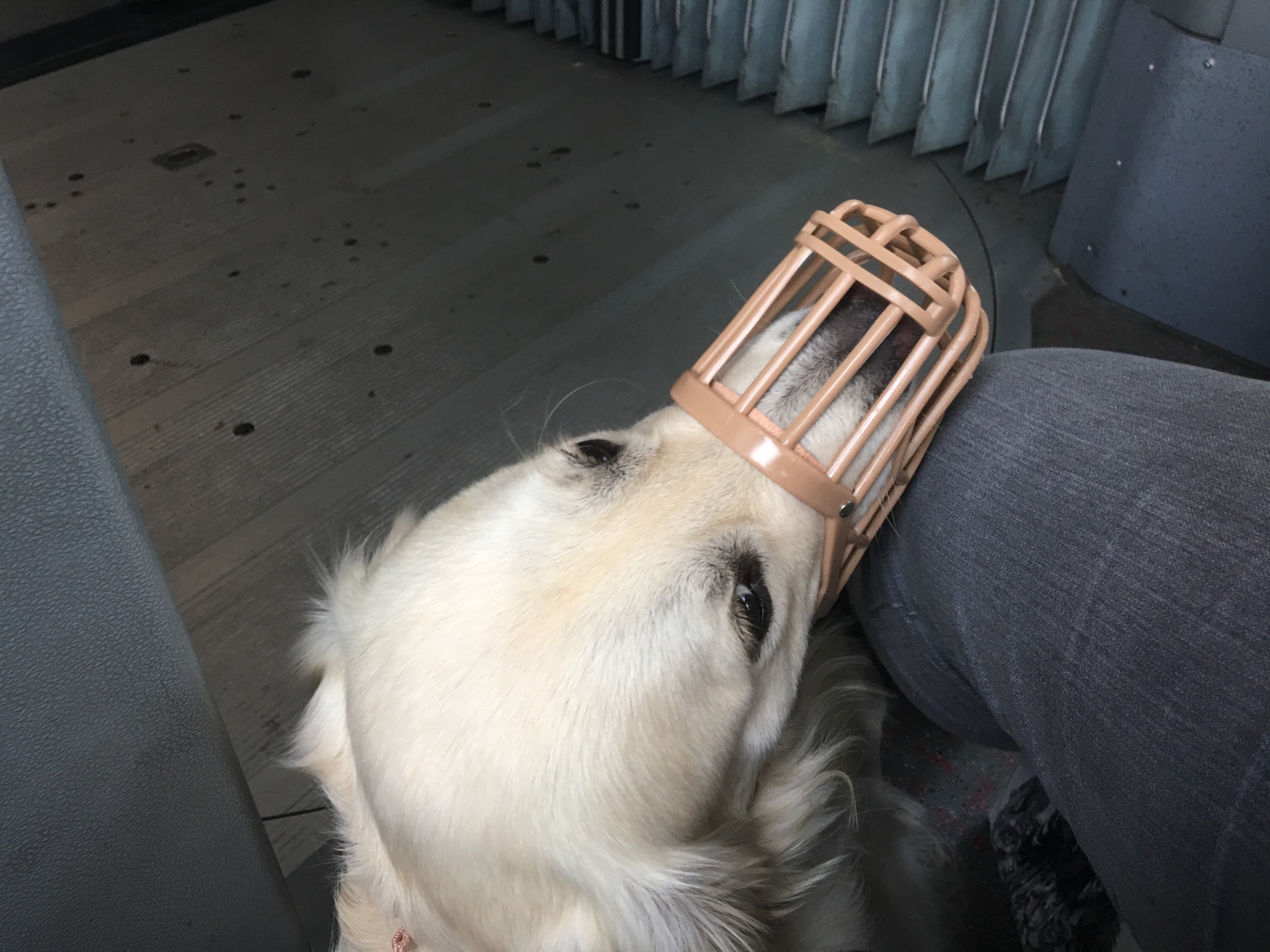 Schöne Mädchen Betrunken Und Gingen Ins Schlafzimmer, Um Liebe Zu Machen, Bis Sie Einschlafen Schöne Mädchen Betrunken Und Gingen Ins Schlafzimmer, Um Liebe Zu Machen, Bis Sie Einschlafen