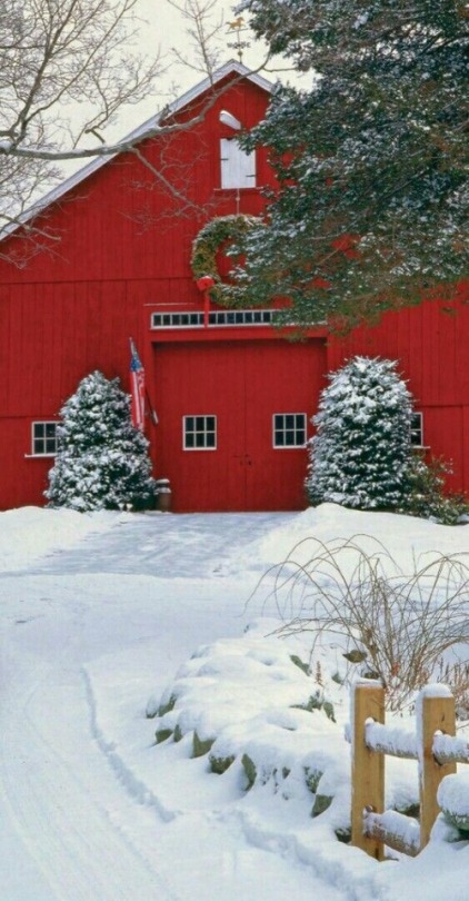 wisco-warrior: 