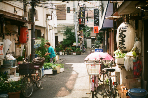 japanlove:intervals (by Gemini st.)