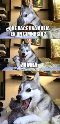 you-meinmydreams:  soy-un-weon-enano:  su cara XDDDDDDDDDDDDDDDDDDDDDDDDDDDDDDDDDDD  esto me lo envio una amiga:) ksajashjshaas y puso la misma cara XDDD 