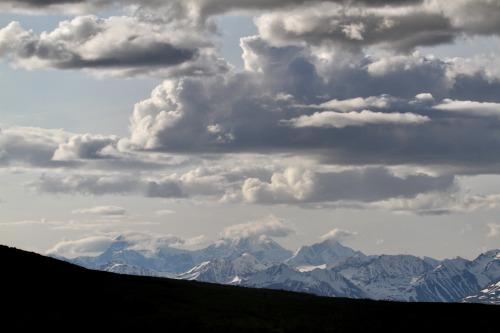 highways-are-liminal-spaces: Views of the northern Alaska Range, along the Denali HighwayTaken June 