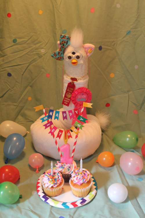 Today, 5/14/2019, is LongFurby’s FIRST BIRTHDAY!Please enjoy this photoshoot of her having a t