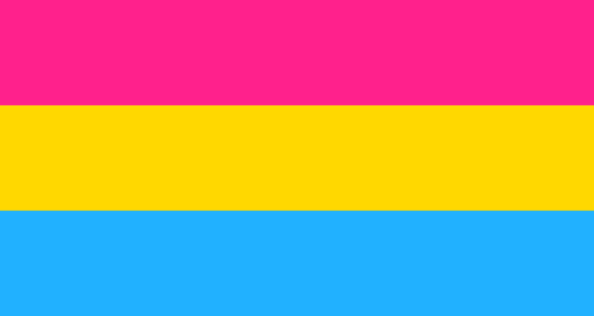 decentmonster:Pansexual Stimboard