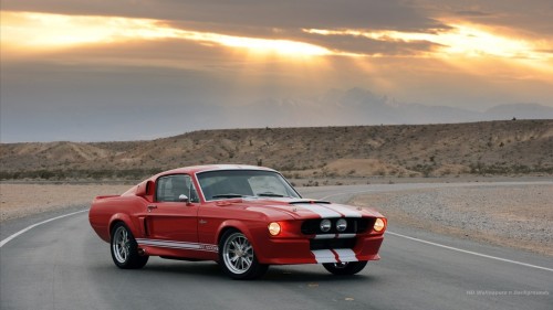 Ford mustang girls