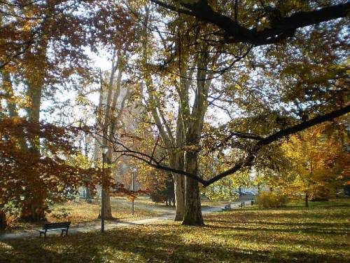 Autumn - trees in Slowacki’s park in city Wroclaw, Poland.