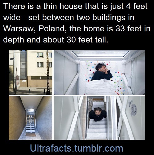 1017sosa300:  so-uncivilised:  indefinite-free-pizza:  ultrafacts:  Source    Follow