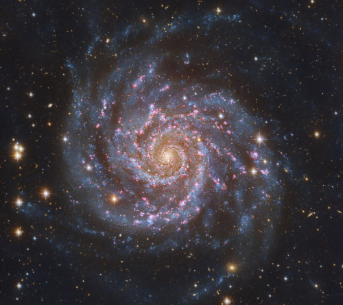 wonders-of-the-cosmos:  Galaxy M74 (via apod)