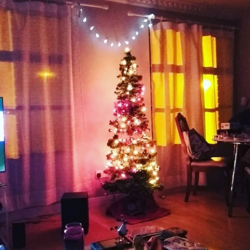 @tigeriffic94 and my first Christmas tree together :3