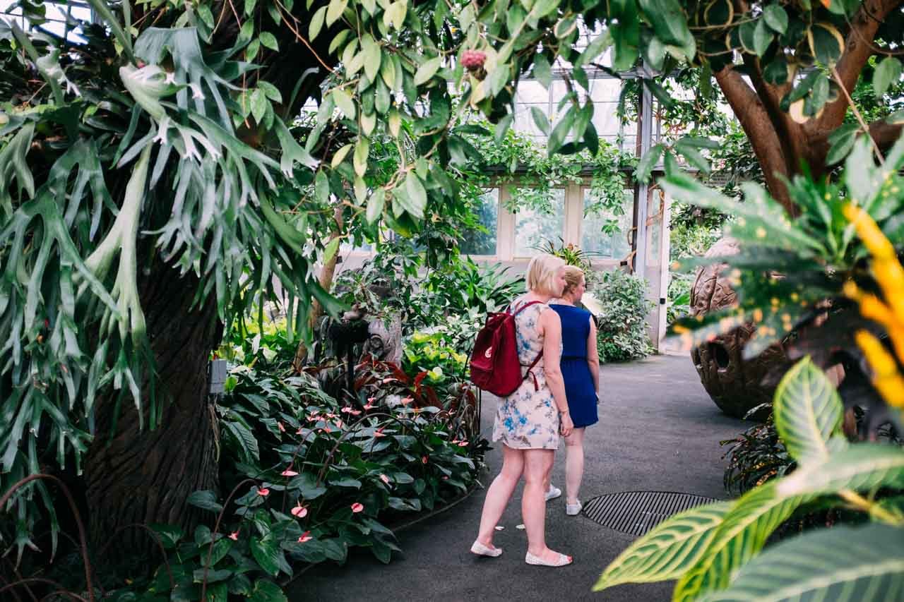 Sisters in the wild.