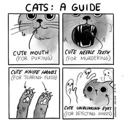 too-much-ninja:  verbalvomits:  A handy guide