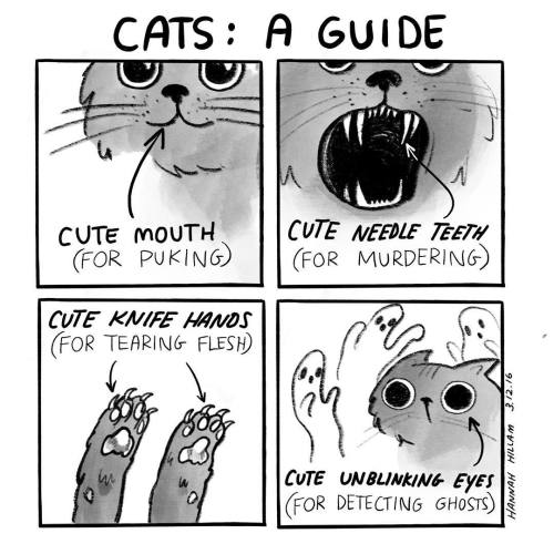 verbalvomits:  A handy guide 