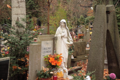 yoda-ii:  OSOBOWICKI CEMETERY in November, 2016 /since 1867 in Wroclaw, Poland/    14 