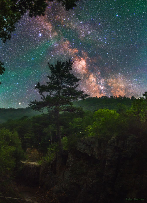 just&ndash;space:  Firefly Milky Way over Russia  : It started with a pine tree. The idea was to photograph a statuesque pine in front of the central band of our Milky Way Galaxy. And the plan, carried out two months ago, was successful – they both