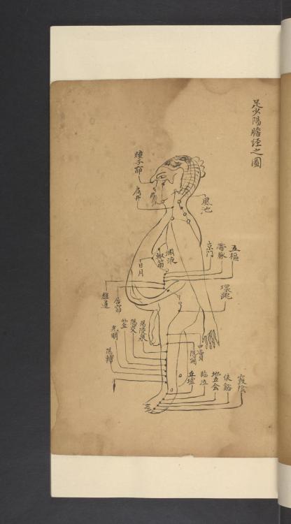 LJS 389, Shi si jing fa hui, is a treatise on the anatomy, physiology, and pathology of blood vessel