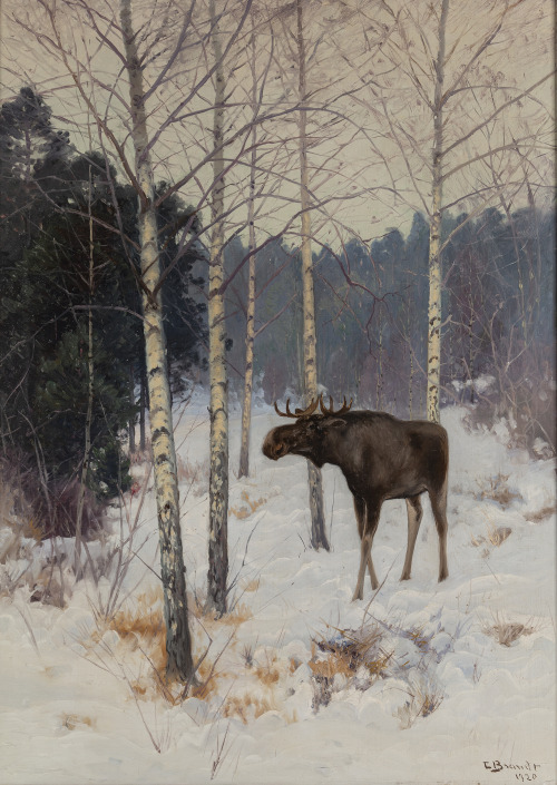 Moose in winter landscape     -    Carl Brandt , 1920Swedish, 1871-1930Oil on canvas, 122 x 89 cm.