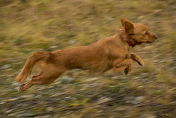 Troya  outside havin some fun