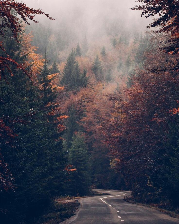 Autumn Cozy Aesthetics Autumn Cozy Aesthetics