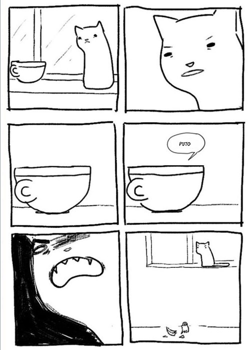 😂😂😂😂