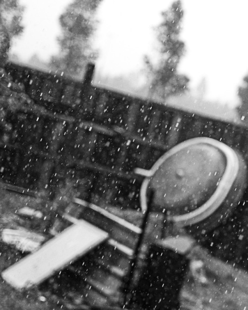 Rain Makes Everything More Beautiful