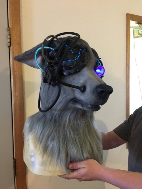 Locutus of Bork by Mithacal CreaturesTwitter sourceAKA Example #3753239832 why fursuits are fucking awesome :O