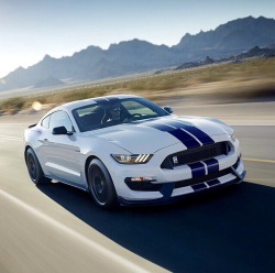 nicestcars:  The New Mustang GT350. 5.2 naturally
