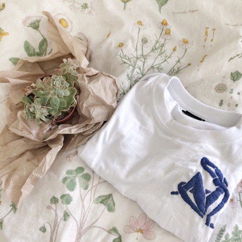 blossomalida: Finished my Matisse embroidered tshirt + a new succulent