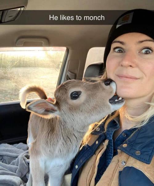 animalsnaps